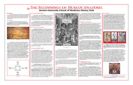 THE BEGINNINGS of HUMAN ANATOMY Boston University School of Medicine History Club