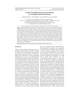 Carabid Assemblages Along a Land Use Gradient in a Carpathian Mountain Landscape