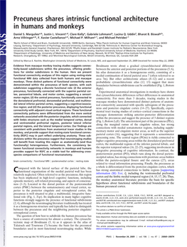 Precuneus Shares Intrinsic Functional Architecture in Humans and Monkeys