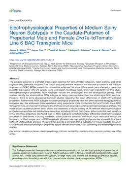 Electrophysiological Properties of Medium Spiny Neuron Subtypes in the Caudate-Putamen of Prepubertal Male and Female Drd1a-Tdtomato Line 6 BAC Transgenic Mice