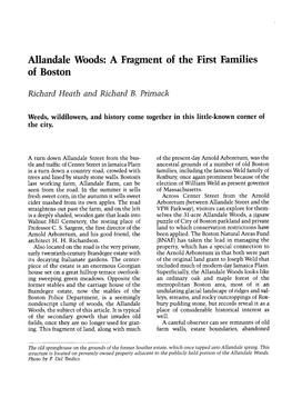 Allandale Woods-A Fragment of the First Families of Boston