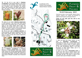 23 February 2021 Featuring the Plants of the Australian National Botanic Gardens, Canberra, ACT