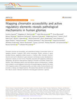 Mapping Chromatin Accessibility and Active Regulatory Elements Reveals Pathological Mechanisms in Human Gliomas