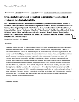 Lysine Acetyltransferase 8 Is Involved in Cerebral