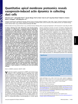 Quantitative Apical Membrane Proteomics Reveals Vasopressin-Induced Actin Dynamics in Collecting Duct Cells