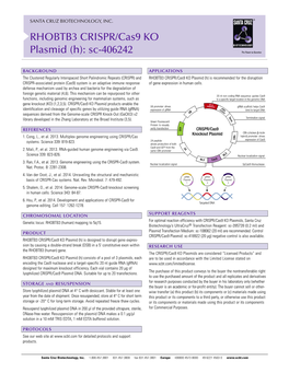 RHOBTB3 CRISPR/Cas9 KO Plasmid (H): Sc-406242