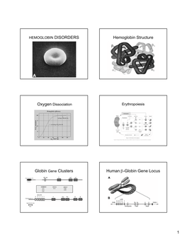 Hemoglobin Structure Globin Gene Clusters Human Β-Globin Gene Locus