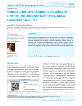 Concepts for Liver Segment Classification: Neither Old Ones Nor New Ones, but a Comprehensive One