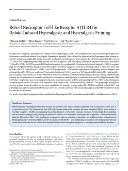 In Opioid-Induced Hyperalgesia and Hyperalgesic Priming