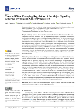 Circular Rnas: Emerging Regulators of the Major Signaling Pathways Involved in Cancer Progression