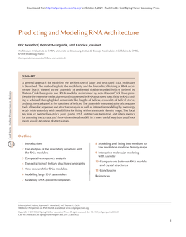Predicting and Modeling RNA Architecture
