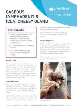 Caseous Lymphadenitis (Cla) Cheesy Gland