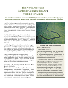 The North American Wetlands Conservation Act: Working for Maine