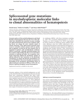 Spliceosomal Gene Mutations in Myelodysplasia: Molecular Links to Clonal Abnormalities of Hematopoiesis