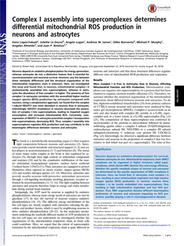 Complex I Assembly Into Supercomplexes Determines Differential Mitochondrial ROS Production in Neurons and Astrocytes