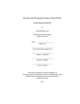 Bycatch and Foraging Ecology of Sea Turtles in the Eastern Pacific