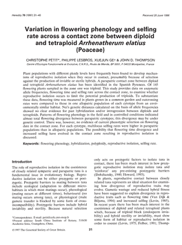 Variation in Flowering Phenology and Selfing Rate Across a Contact Zone Between Diploid and Tetraploid Arrhenatherum Elatius (Poaceae)