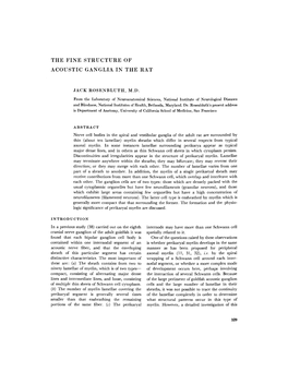 The Fine Structure of Acoustic Ganglia in the Rat