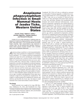 Article & Appendix