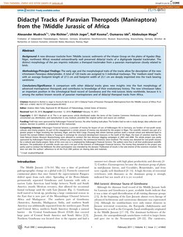 Didactyl Tracks of Paravian Theropods (Maniraptora) from the ?Middle Jurassic of Africa