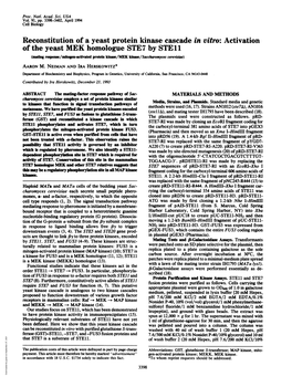 Of the Yeast MEK Homologue STE7 by Stell (Mating Response/Mto -Tivatd Protein Kine/MEK Knase/Saccharomyces Cerevisiae) AARON M