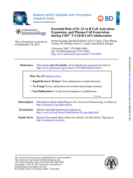 T Cell-B Cell Collaboration + During CD4