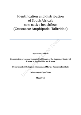 Crustacea: Amphipoda: Talitridae)