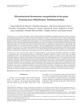 Microstructural Chromosome Reorganization in the Genus Trichomycterus (Siluriformes: Trichomycteridae)