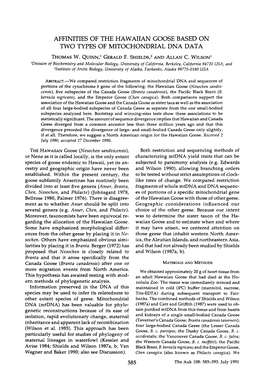 Affinities of the Hawaiian Goose Based on Two Types of Mitochondrial Dna Data