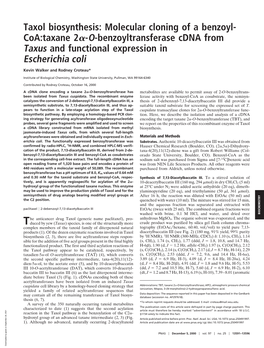 Taxol Biosynthesis: Molecular Cloning of a Benzoyl- Coa:Taxane 2␣-O-Benzoyltransferase Cdna from Taxus and Functional Expression in Escherichia Coli