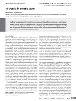 Microglia in Steady State