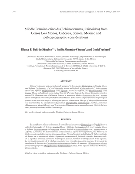 Middle Permian Crinoids (Echinodermata, Crinoidea) from Cerros Los Monos, Caborca, Sonora, Mexico and Paleogeographic Considerations