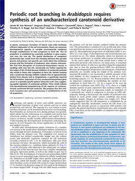 Periodic Root Branching in Arabidopsis Requires Synthesis of an Uncharacterized Carotenoid Derivative