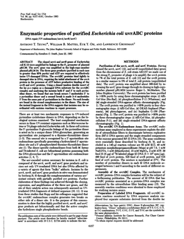 Enzymatic Properties of Purified Escherichia Coliuvrabc Proteins