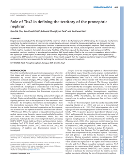 Role of Tbx2 in Defining the Territory of the Pronephric Nephron Gun-Sik Cho, Sun-Cheol Choi*, Edmond Changkyun Park† and Jin-Kwan Han‡