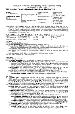 HORSE in TRAINING, Consigned by David Loughnane Racing the Property of Mr K. Sohi Will Stand at Park Paddocks, Solario Barn EE, Box 786