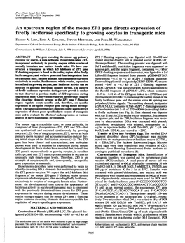 An Upstream Region of the Mouse ZP3 Gene Directs Expression of Firefly Luciferase Specifically to Growing Oocytes in Transgenic Mice SERGIO A