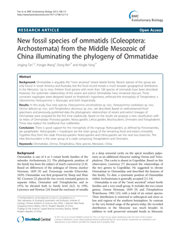From the Middle Mesozoic of China Illuminating the Phylogeny of Ommatidae Jingjing Tan1,2, Yongjie Wang2, Dong Ren2* and Xingke Yang1*