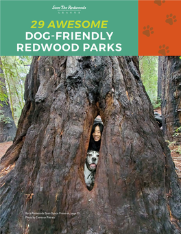 29 Awesome Dog-Friendly Redwood Parks