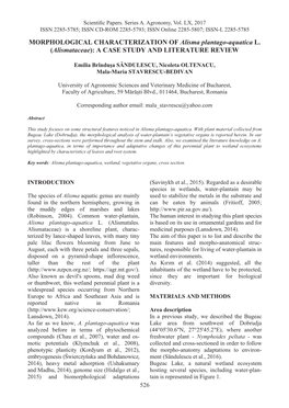 MORPHOLOGICAL CHARACTERIZATION of Alisma Plantago-Aquatica L