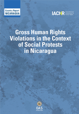 Gross Human Rights Violations in the Context of Social Protests