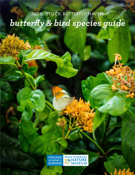 Butterfly & Bird Species Guide