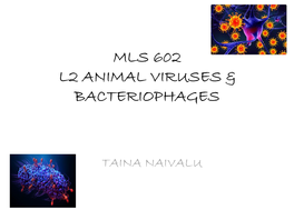 Mls 602 L2 Animal Viruses & Bacteriophages