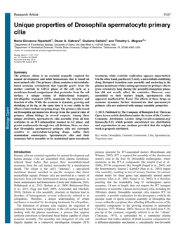 Unique Properties of Drosophila Spermatocyte Primary Cilia