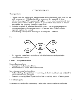 1 EVOLUTION of SEX Three Questions: 1. Origins