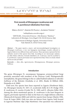 <I>Rhizopogon Rocabrunae</I> and <I>R. Pumilionum</I>