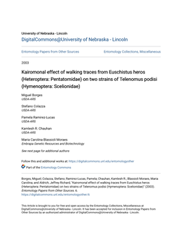 On Two Strains of Telenomus Podisi (Hymenoptera: Scelionidae)