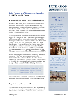 Wild Horses and Burros: an Overview by Nicki Frey and Eric Thacker “Wild” Or Feral Wild Horse and Burro Populations in the U.S