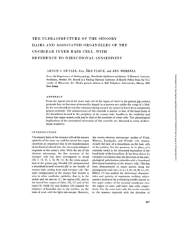 The Ultrastructure of the Sensory Hairs And