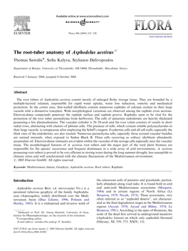 The Root-Tuber Anatomy of Asphodelus Aestivus$ Thomas Sawidisã, Soﬁa Kalyva, Stylianos Delivopoulos